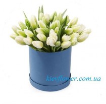 51 tulips 